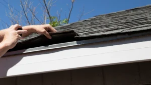 blog roof inspection service